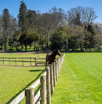 Quelle classe choisir pour les piquets de clôture equestre