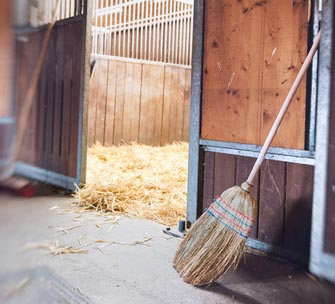 Le fourrage dans l'alimentation du cheval