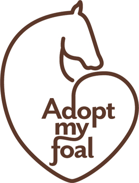 Adopt my foal : le nouveau site  gratuit de mise en relation des éleveurs de chevaux.