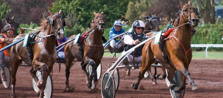 Comment adapter la ration pour que mon cheval maintienne son poids de forme ?  