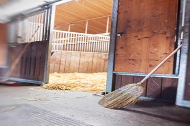 C’est la rentrée ! Préparez le retour de votre cheval au box