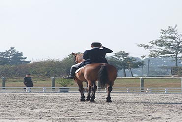 Préparer un concours de dressage